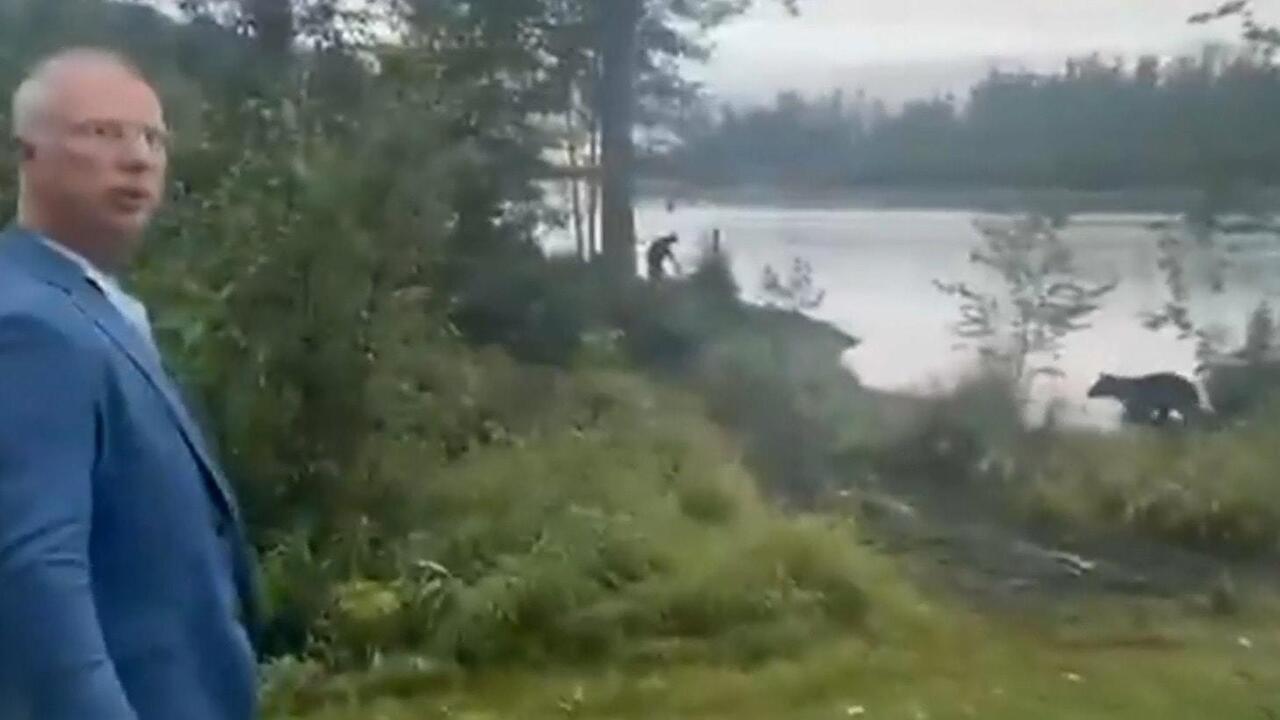 'I met a bear... hopefully a good sign!'- Presidential aide Dmitriev's close encounter
