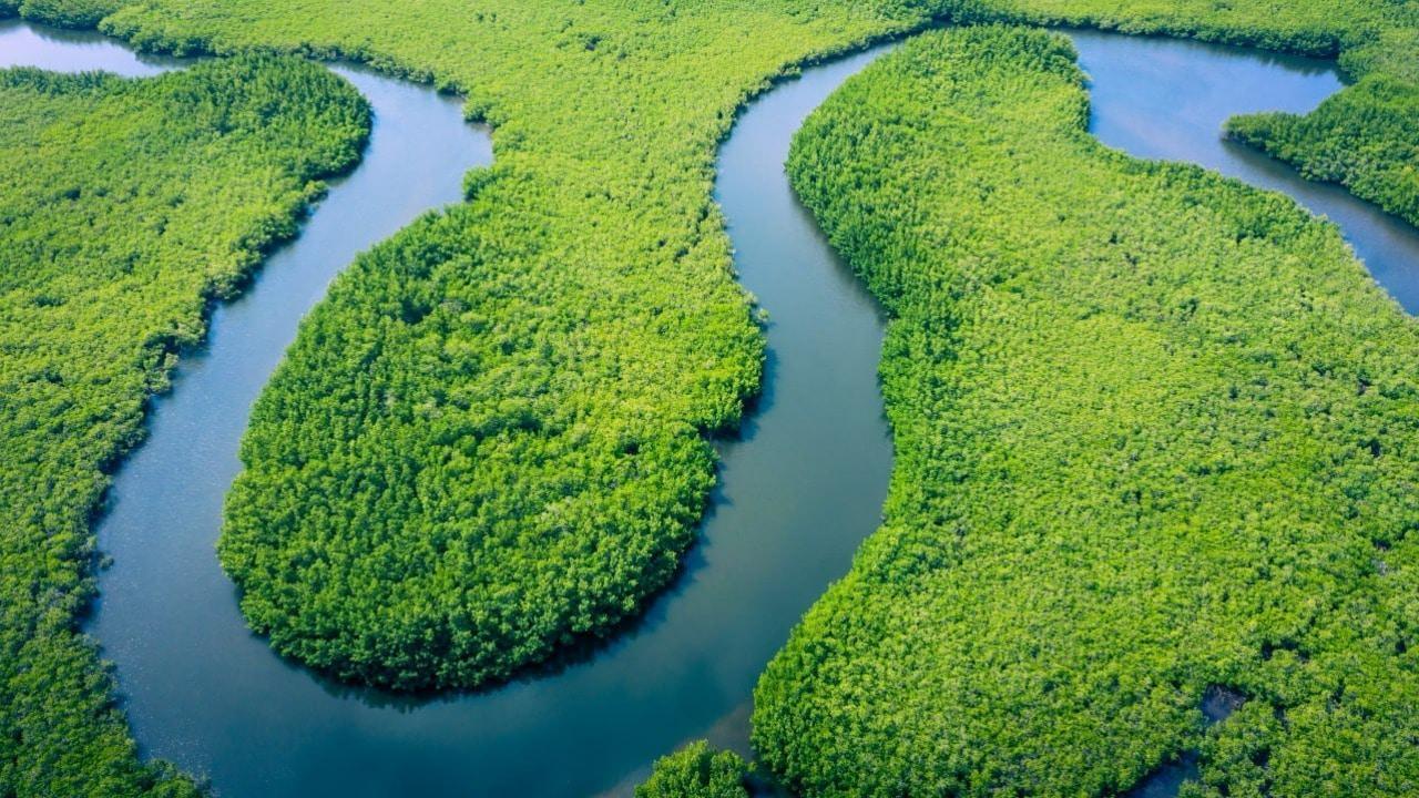 COP30 in Brazil *FULL COVERAGE OF CLIMATE CONFERENCE*