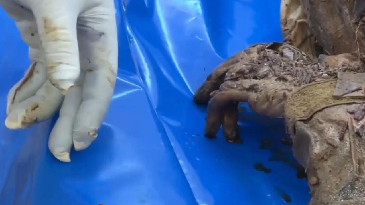 Death and decomposition - Red Cross transfers 15 bodies of Palestinians to Nasser 
