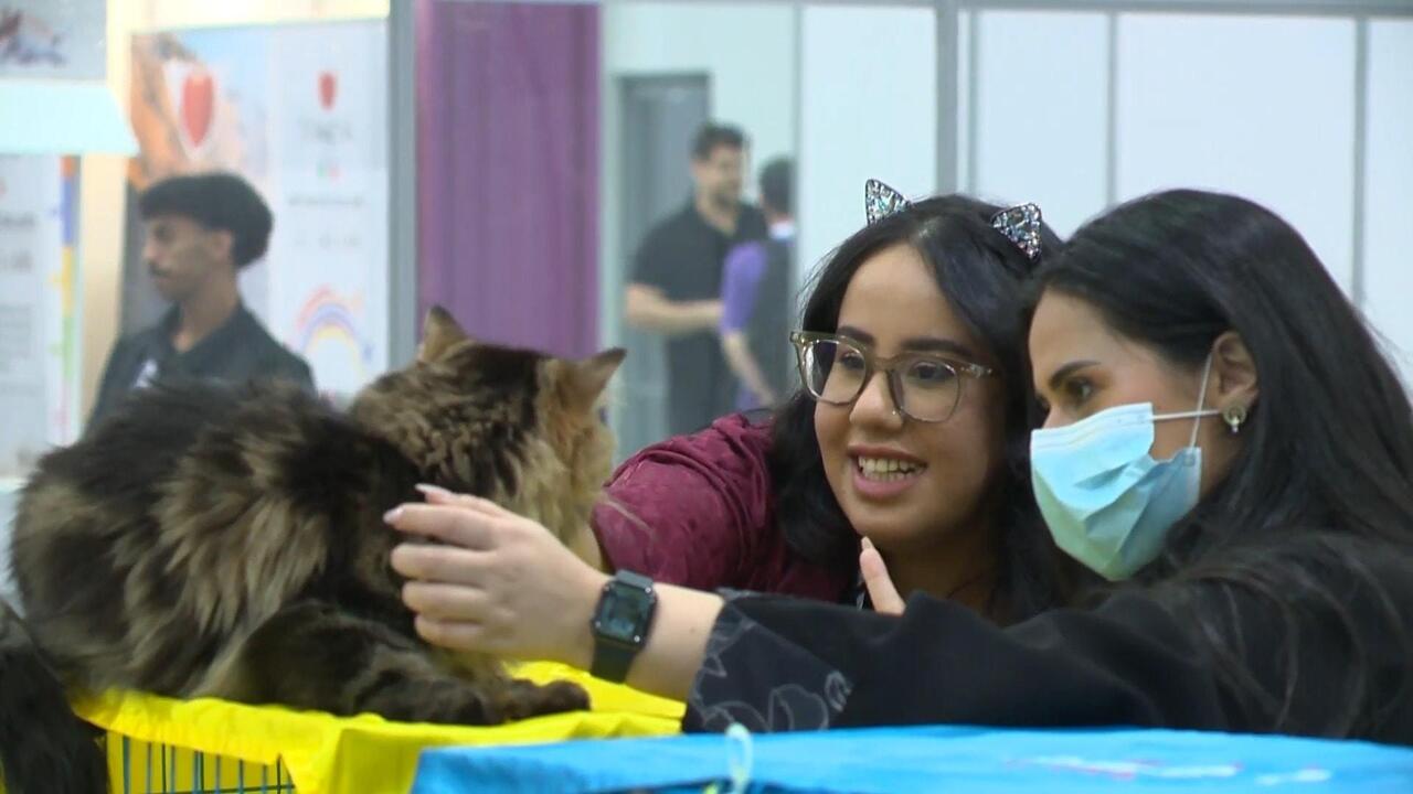 معرض الحيوانات الأليفة بالرياض يستضيف فعالية "كات شو" بنسختها الثانية