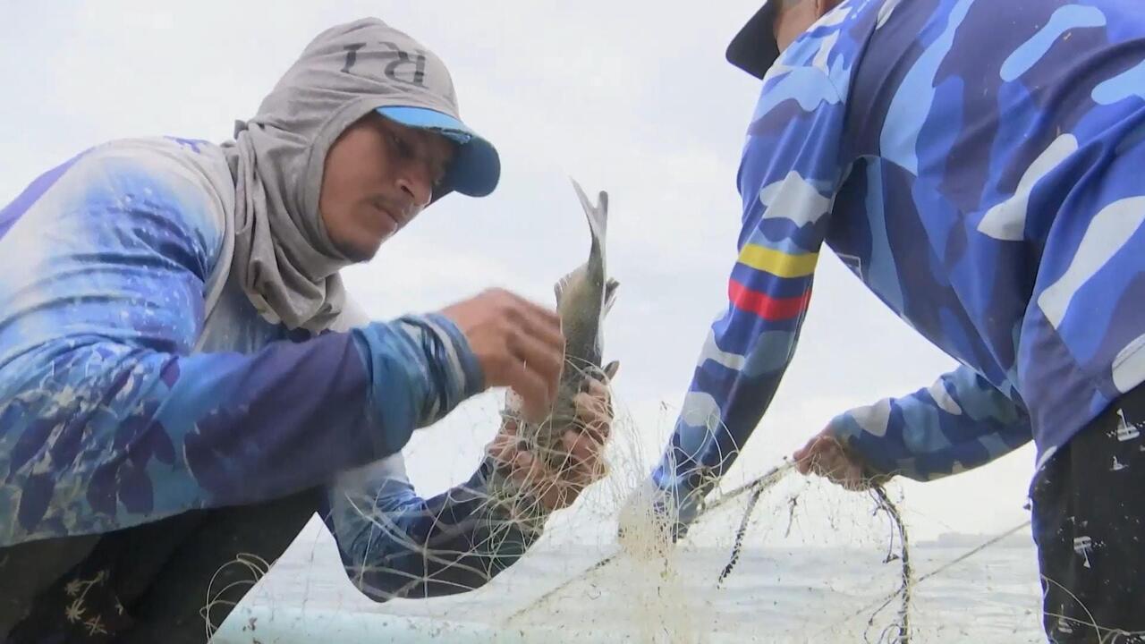 Cast adrift - Venezuelan fishermen put out to sea despite risks of US strikes
