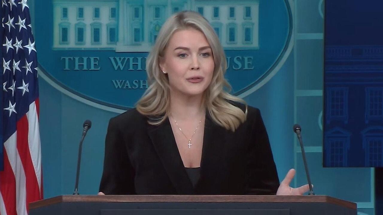 'It's a good plan for both Russia and Ukraine' - Leavitt CONFIRMS draft peace proposal