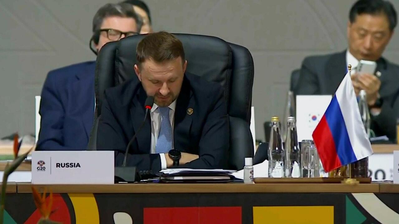 Global South, BRICS are 'dominant driver' of world's economy - Russia's Oreshkin at G20