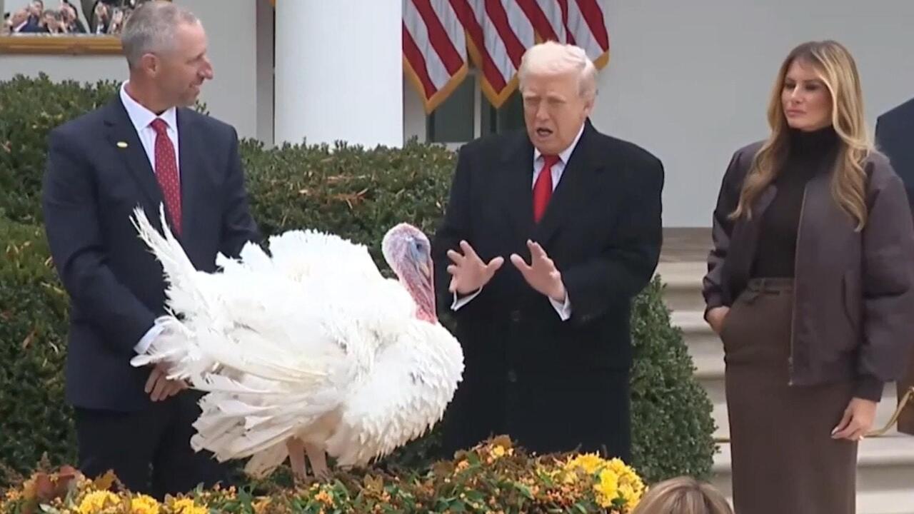 Gobble and Waddle... I was gonna call 'em Chuck and Nancy! - Trump's Thanksgiving pardon


