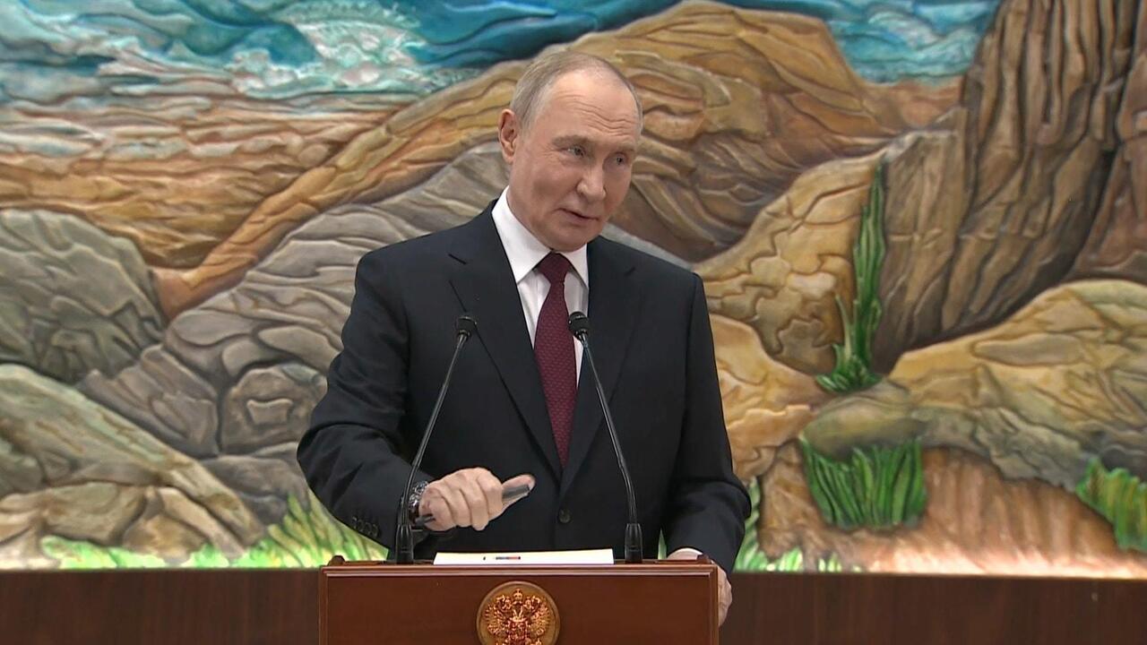 If Ukrainian troops withdraw, we'll cease hostilities - Putin
