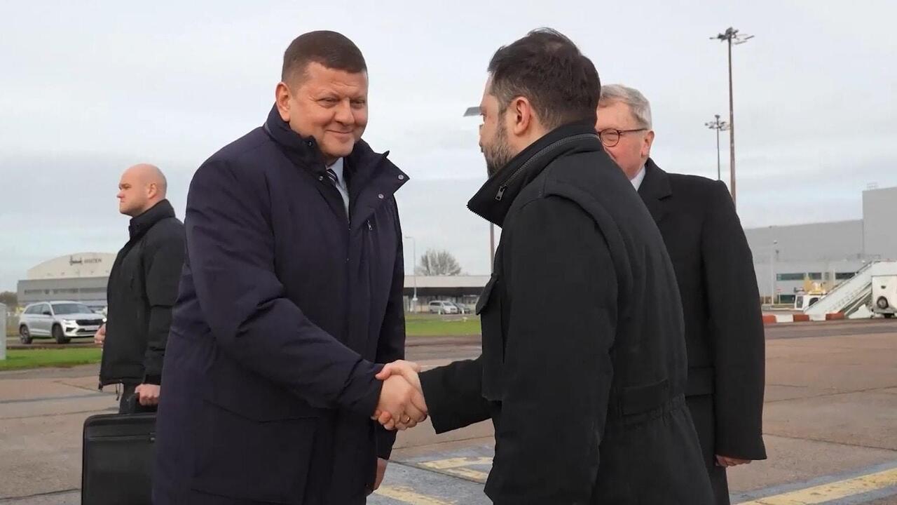 Best of frenemies! - Zelensky shakes hands with rival Zaluzhny in London
