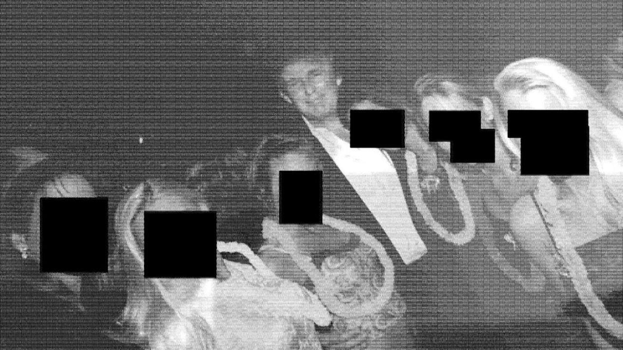 Epstein and co - Dems release latest images as White House blasts 'cherry-picking'

