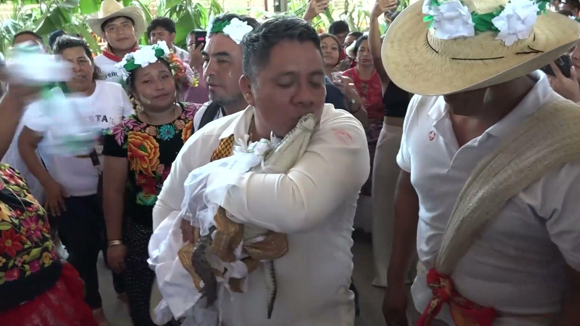 Here comes the bride! - Oaxaca mayor symbolically marries CAIMAN in ...