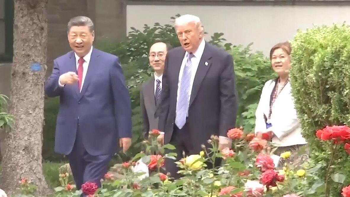 Best buds - Trump praises 'most beautiful roses I've ever seen' as Xi ...