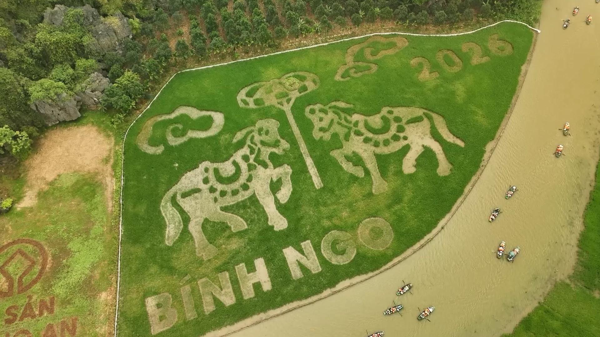 Woven masterpiece - Vietnam's largest rice‑field mural draws crowds ...