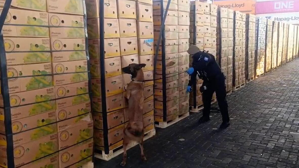 Fake fruit! – Ecuadorian police seize 1.2 tonnes of cocaine in boxes in ...