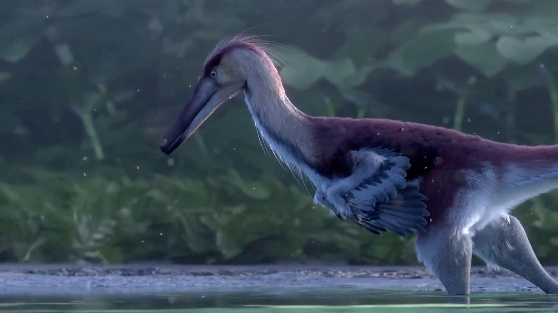 Patagonian ‘fishing raptor’ - Argentine scientists discover new ...