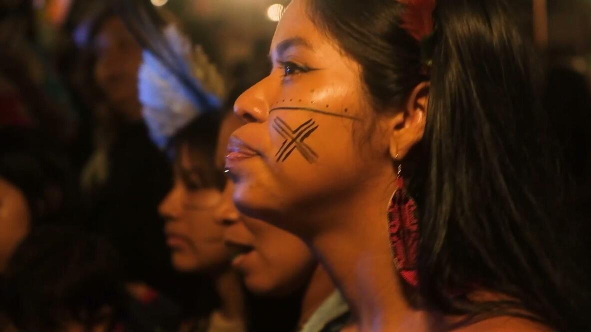 'Liberate mother Earth from private property' - Indigenous community ...