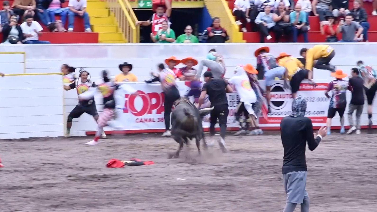 'You see the bull coming and you feel adrenaline!' - Costa Rica ...