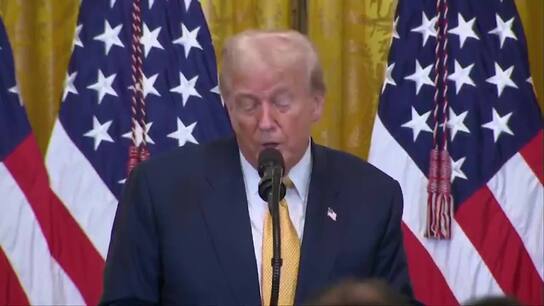 US concludes trade deal with Japan and moves toward LNG deal - Trump 