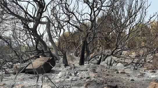 Spain in flames - Thousands forced to evacuate tourist site near Cadiz as raging wildfires approach