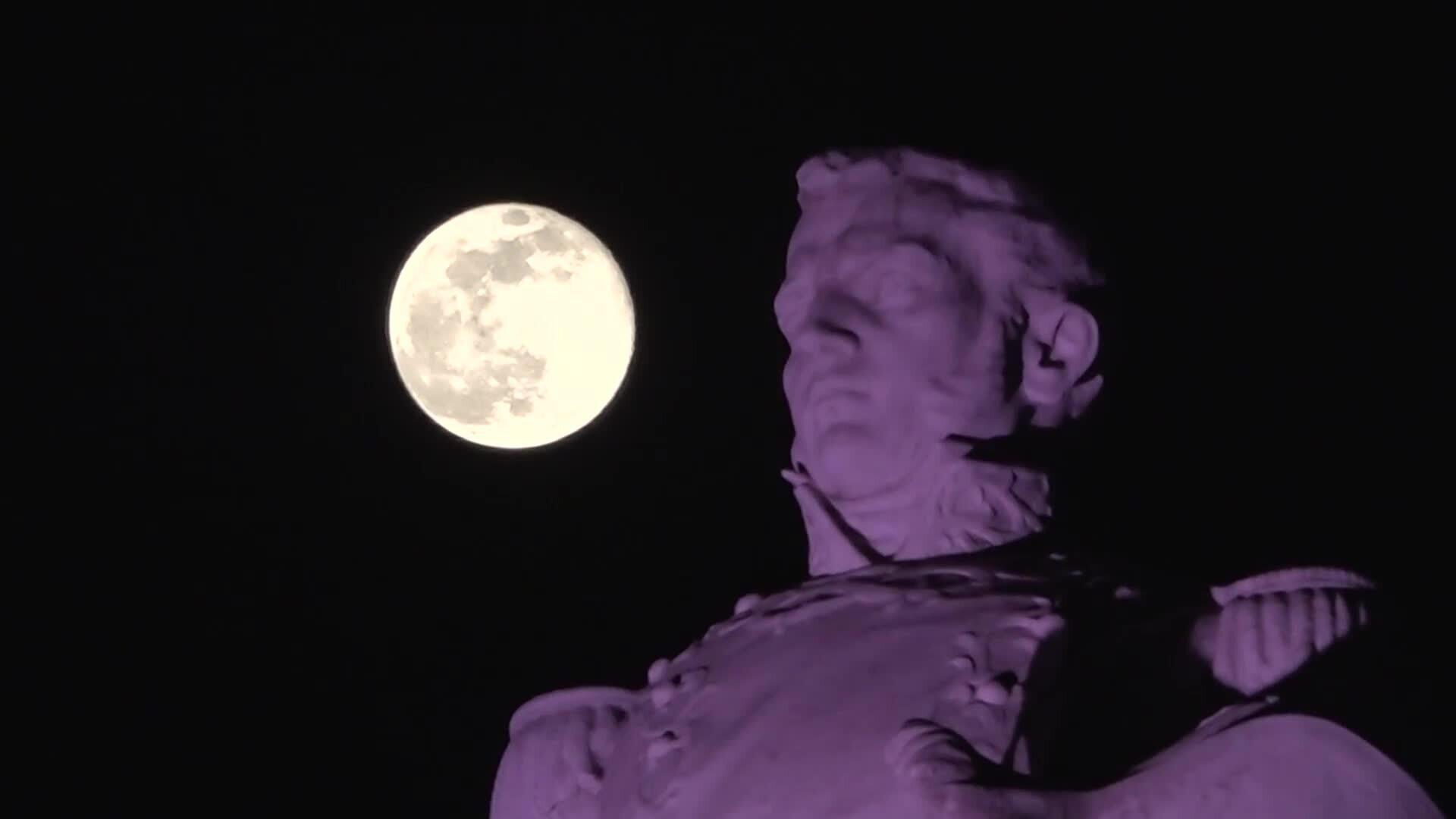 Beavering away - Biggest, brightest supermoon of the year dazzles skies ...