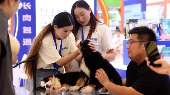 Paws galore - Pet lovers flock to Asia's largest fair in Shanghai with 2,600 exhibitors on display