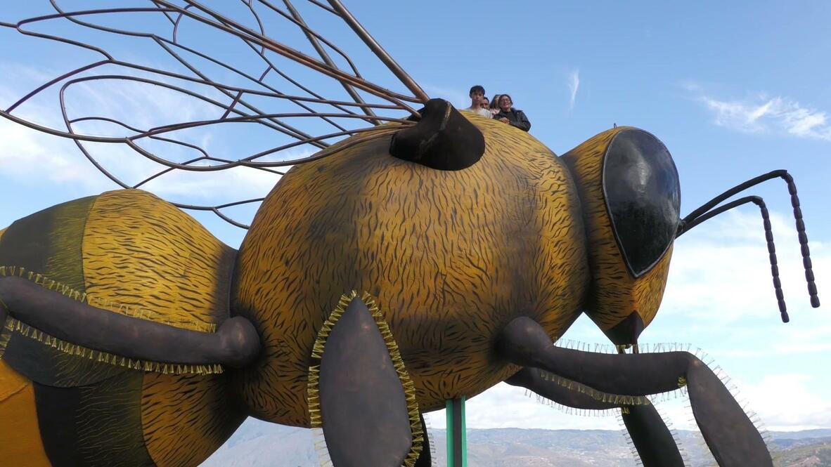 Big bee, big buzz! Colombia unveils world's largest bee sculpture