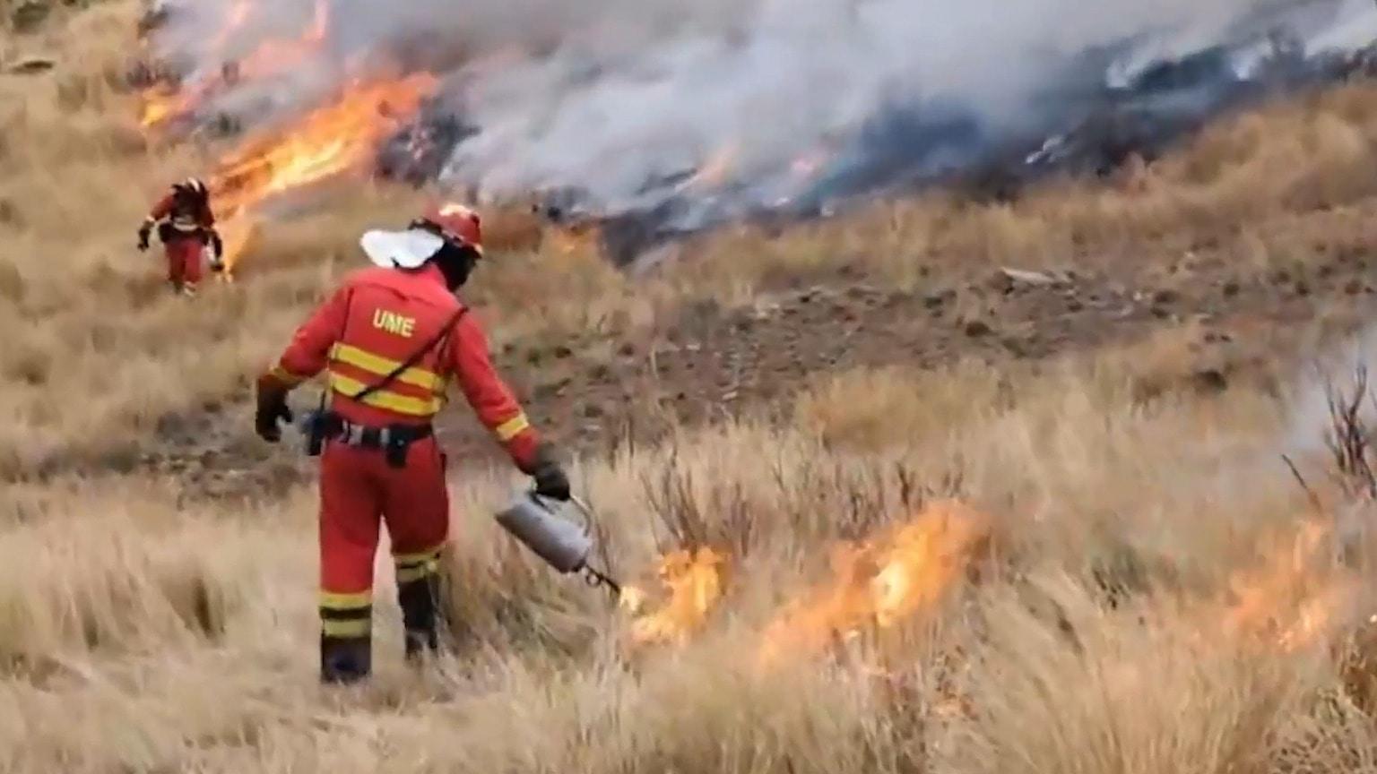 Fighting fire with fire - Crews use fuel breaks, containment trenches ...