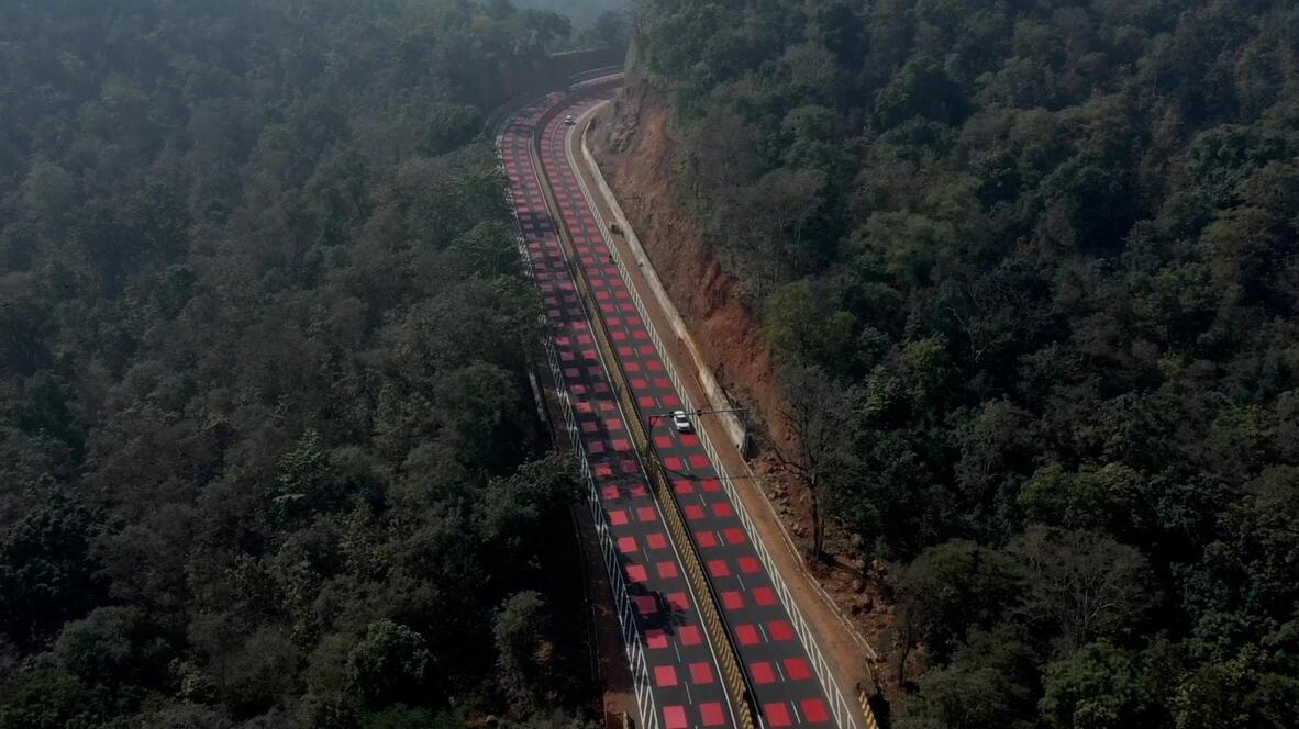 Highway for wildlife - India introduces first elevated red road marking ...