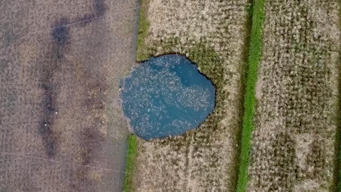 'The earth collapsed' - Growing rice field sinkhole sparks panic among ...