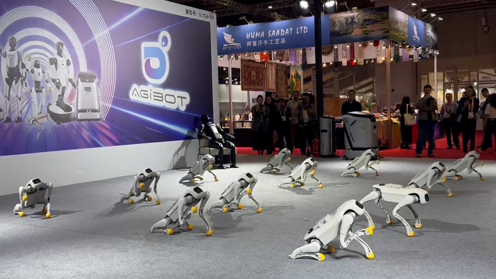 Paw-fectly in sync - Bots showcase China's strides in cutting-edge ...