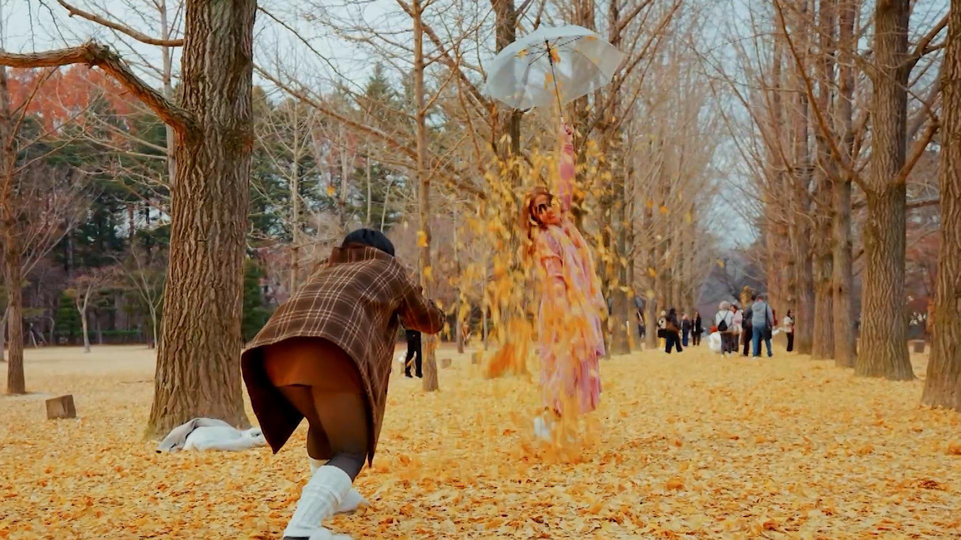 Unforgettable autumn! ROK’s iconic Golden Ginkgo Road draws global ...