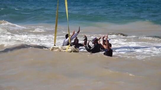 Secrets of the Sunken City - Archaeologists retrieve submerged ancient artefacts off Alexandria coast