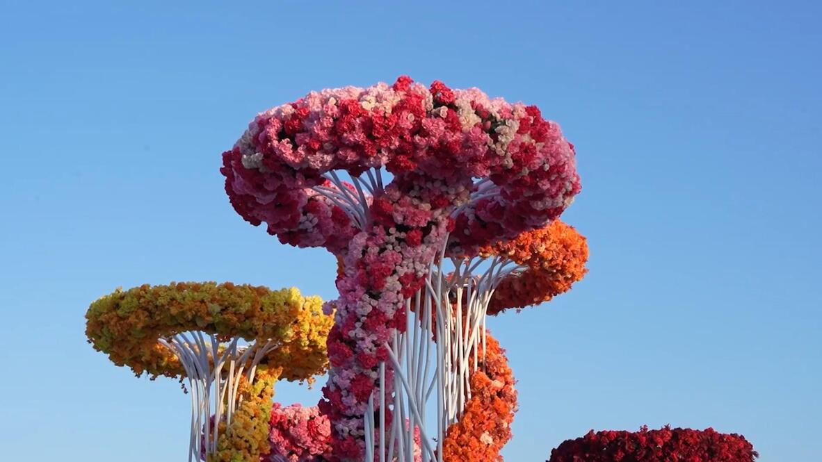 Blooming marvellous! Over a million guests visit Muscat Flower Festival ...