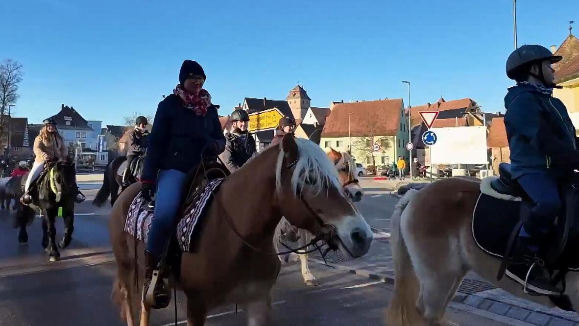 Giddy up! Historic St Stephen's Ride sees dozens of horses and ...