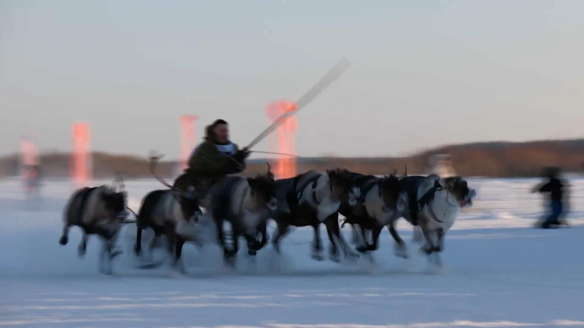 Run, run Rudolph! - Siberians celebrate Reindeer Herder Day with ...